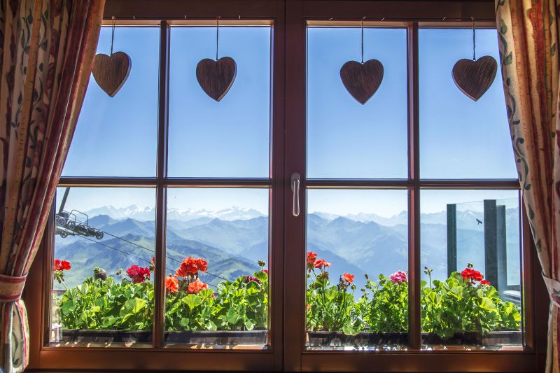 Decorative Window Frame Art